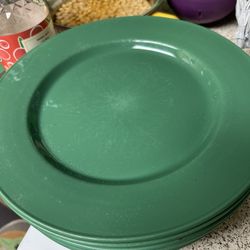 20 Large Green Plates Restaurant Quality!