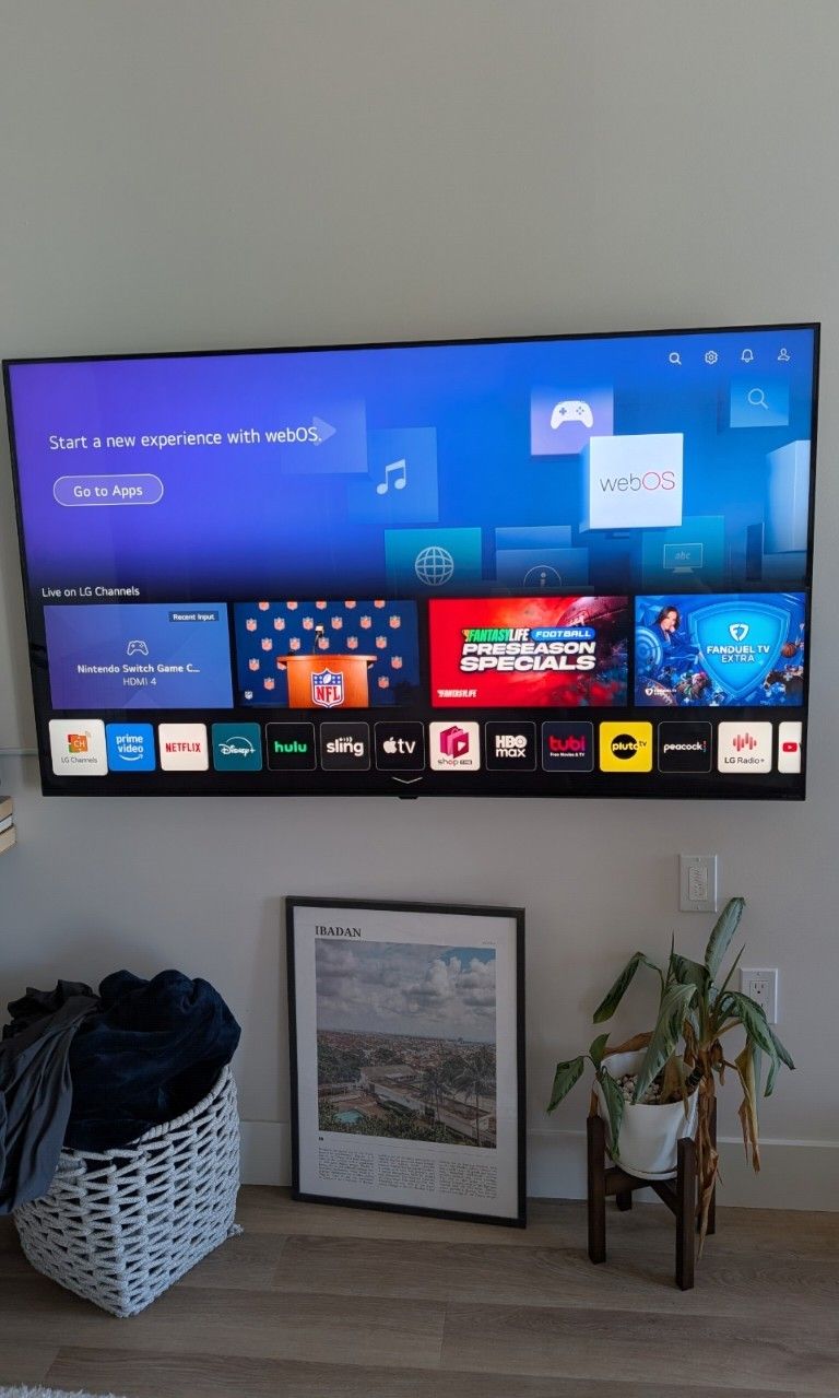 65 Inch LG Smart Tv