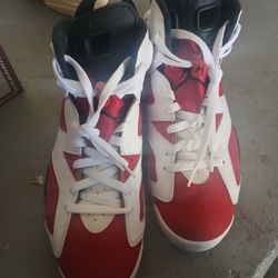 Jordan 6's