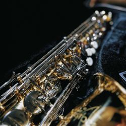Alto Saxophone- Selmer Aristocrat