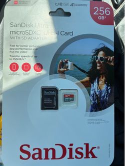 Brand new 256 GB SD Cards.