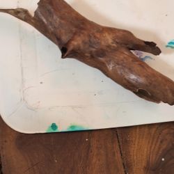 Naturally Hollowed Out Root Driftwood 