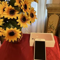 iPhone 7 