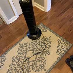 3 Foot Black Fan