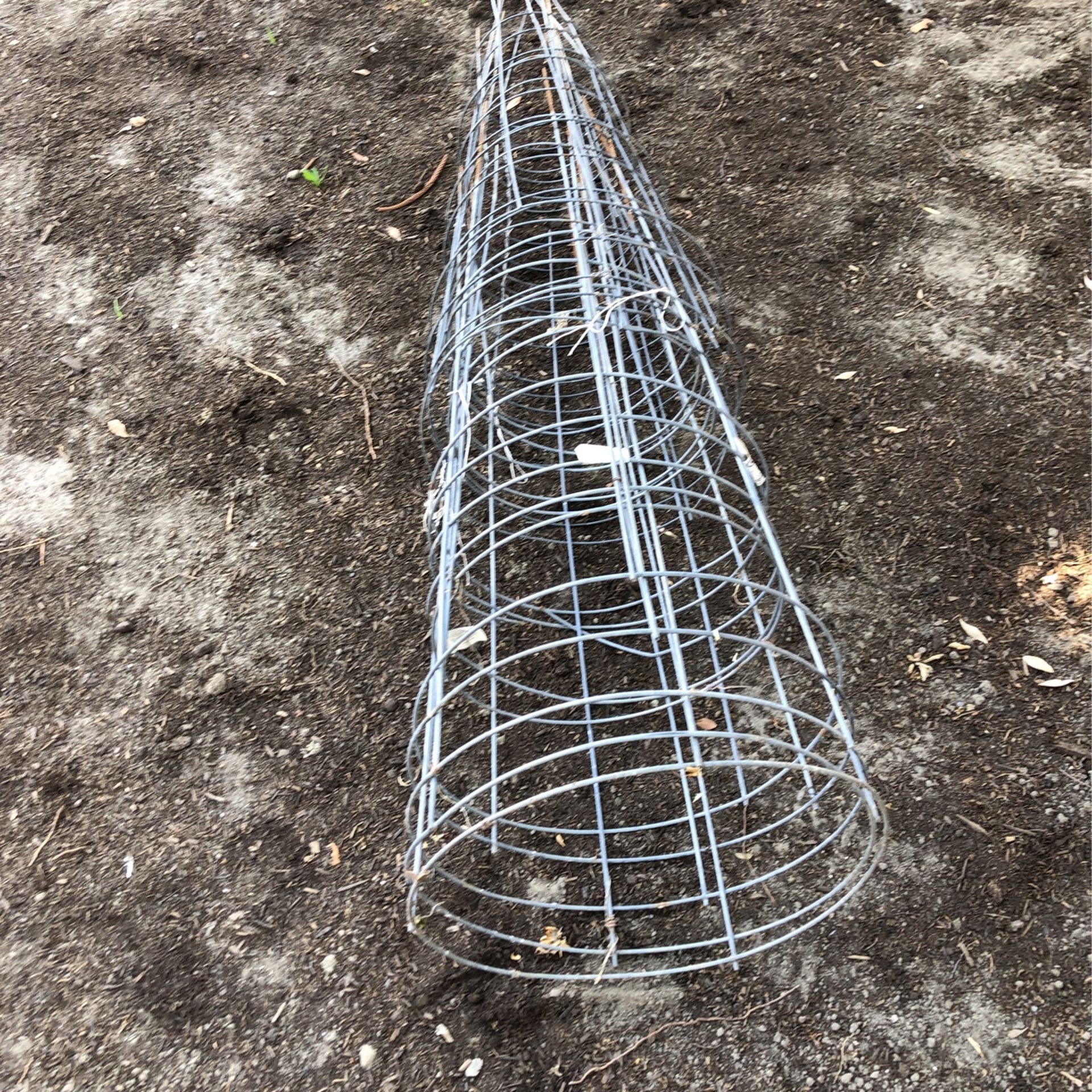 Tomato cage Galvanized