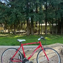 Schwinn Herald Elite 700c Road Bike – 21.5” Frame - Aluminium Bicycle