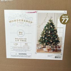 5’.5” Balsam Fir Lit Tree