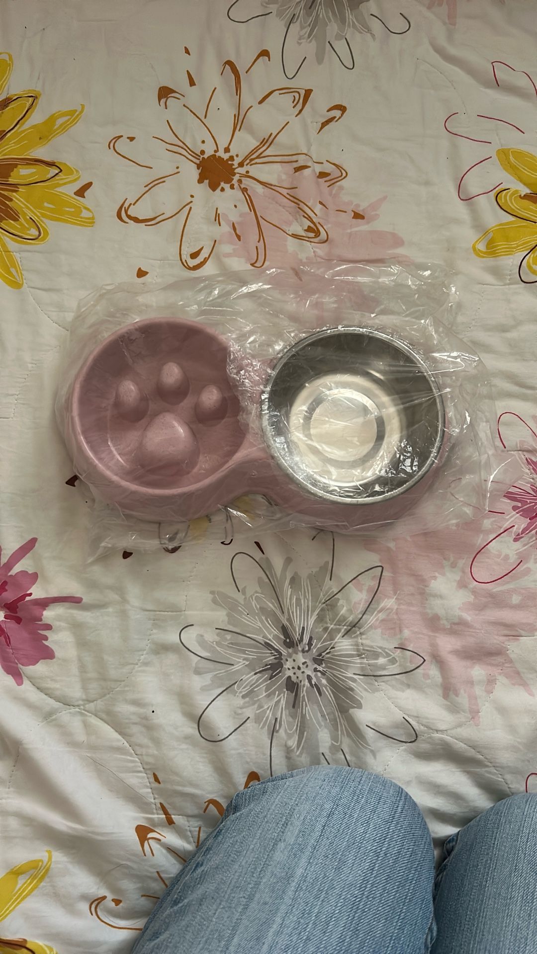 dog bowls