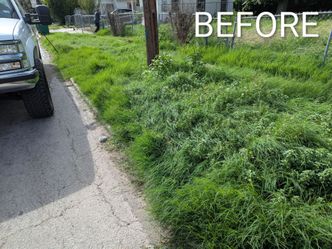 $1 Lawn clean up