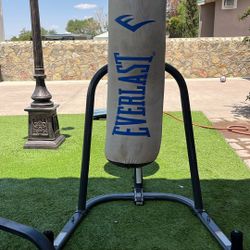 Everlast Punching Bag