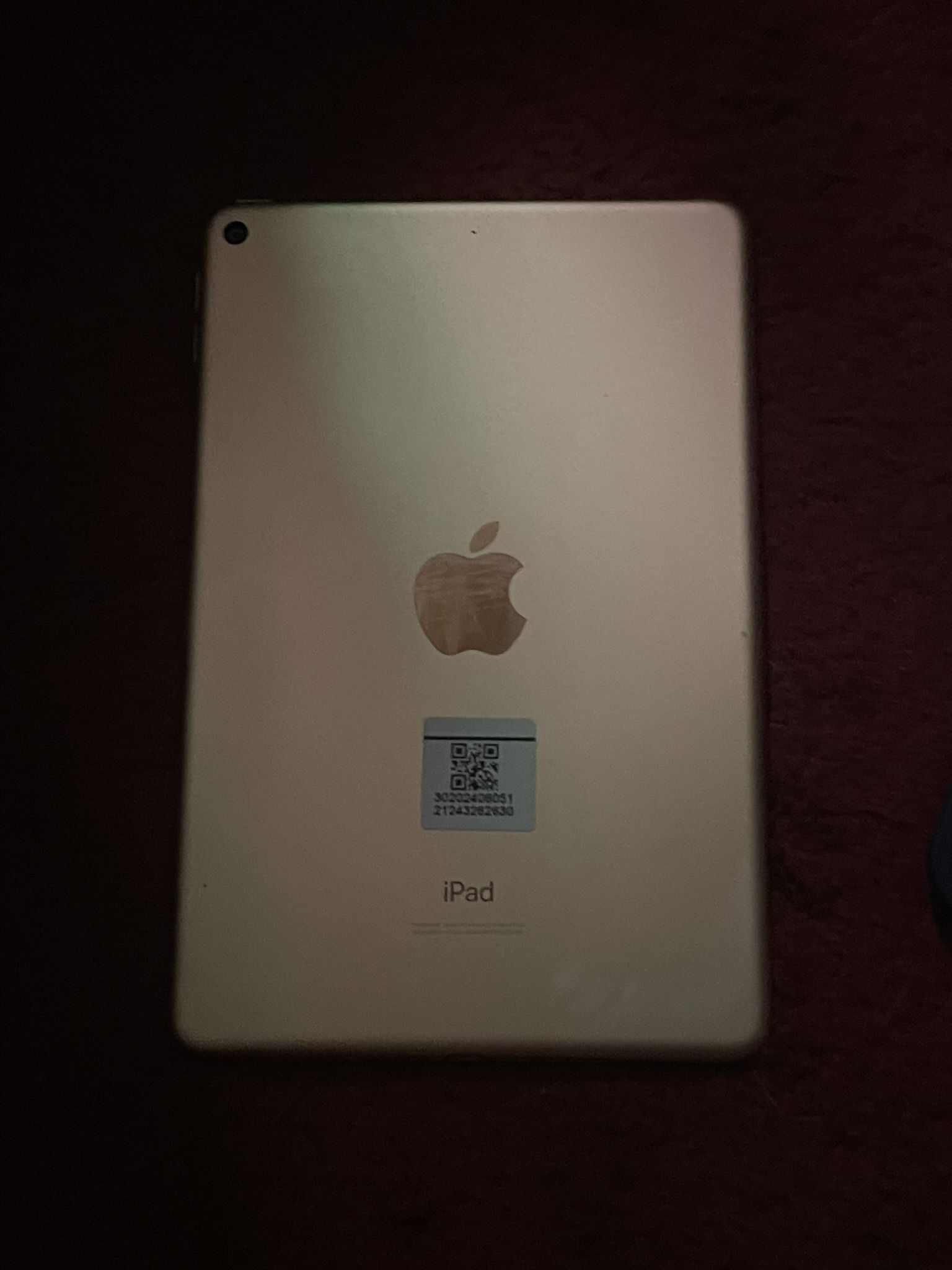 Apple IPad Mini 5th Generation