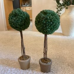 Set of Two Decorative Topiary Trees