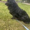 Esther