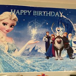 Frozen Happy Birthday Banners and Hats