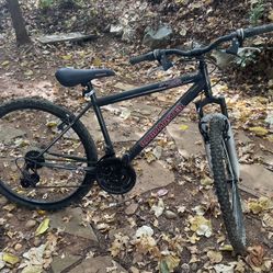Mountain Bike