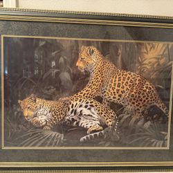 Framed Leopard Art Print for sale .$30 Dollars 