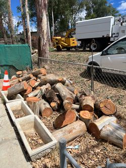 Fire wood