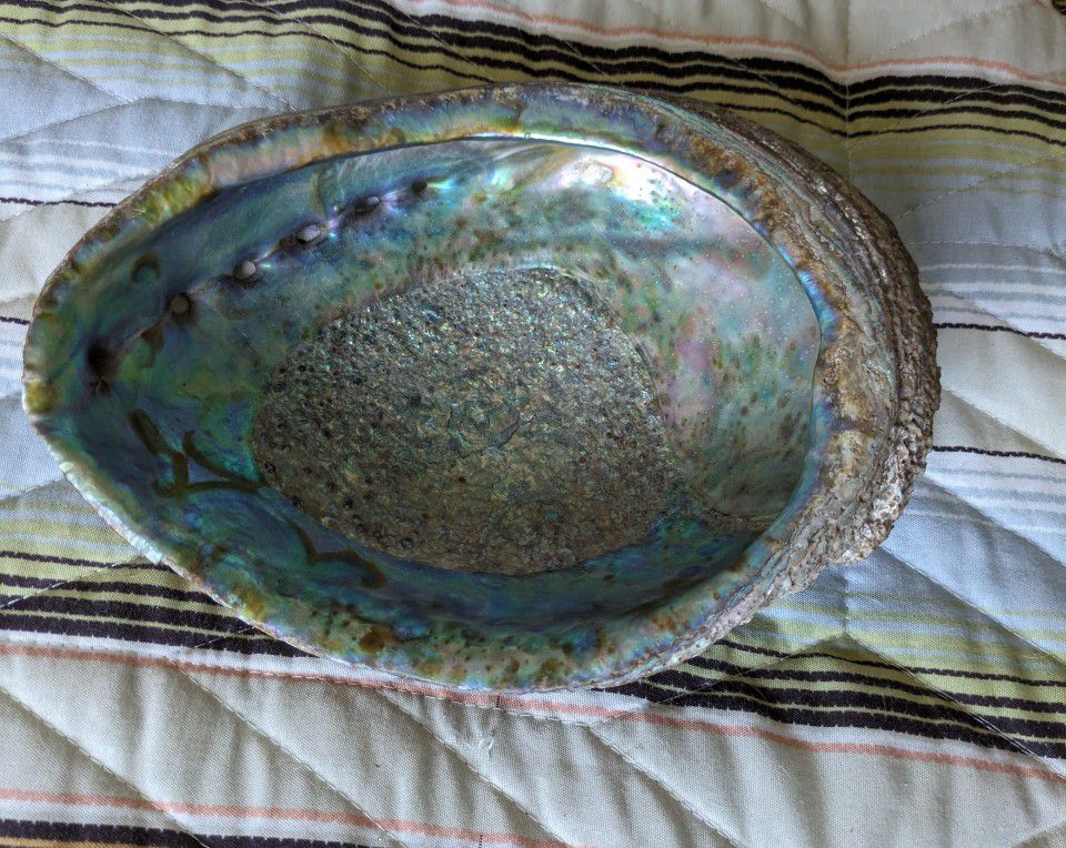 Genuine Abalone Smudging Shell perfect condition. 