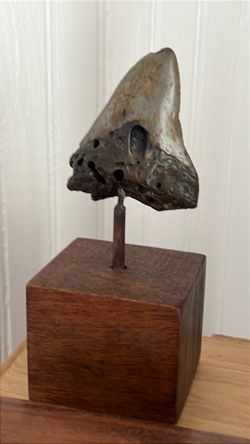 3”  large Megalodon tooth mounted on wood stand .