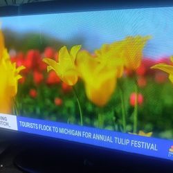Samsung Plasma Display 50"