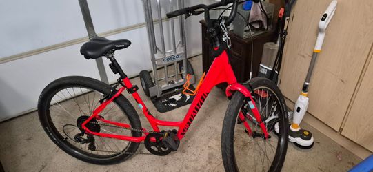 Specialized Roll 3.0 Low Entry