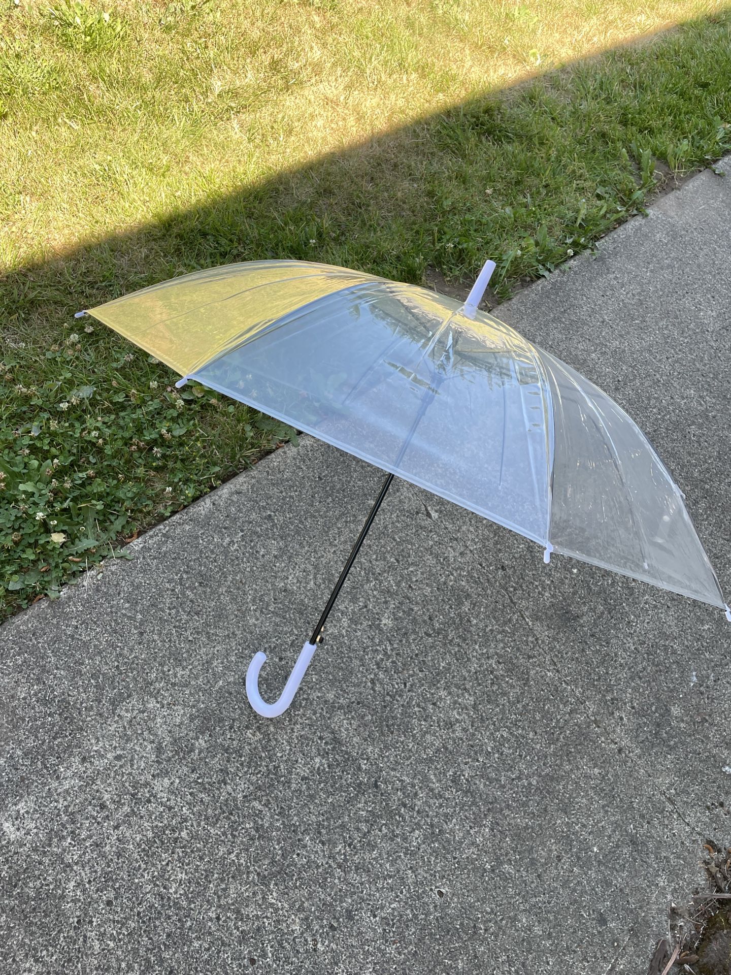 Clear Umbrellas
