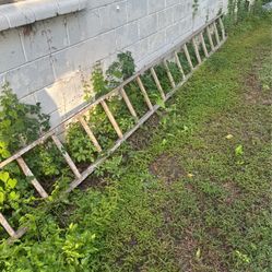 Ladder