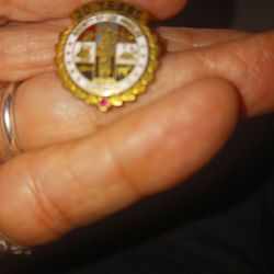 20 Year Pin County Of Los Angeles