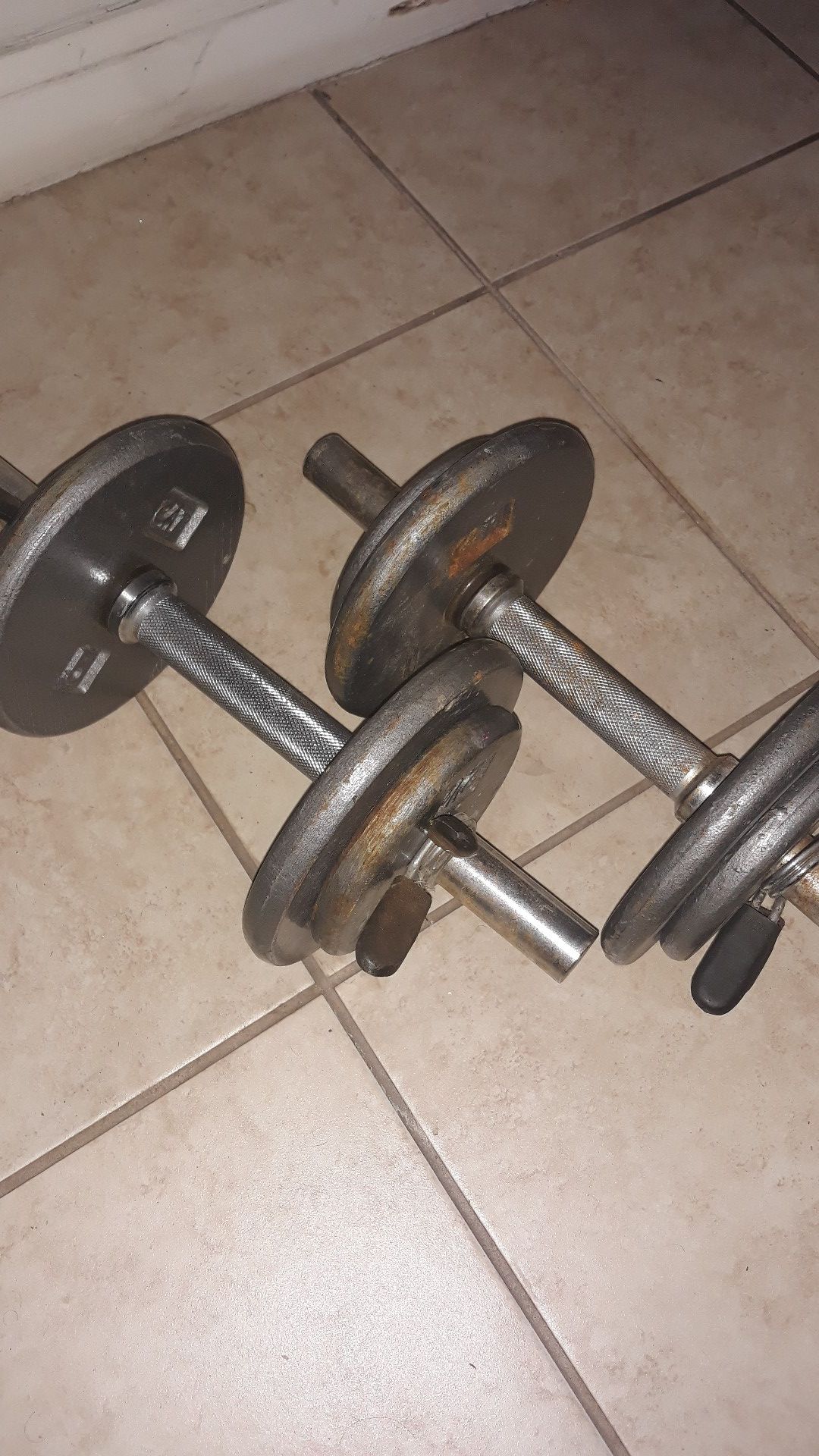 pair of cap barbell weights