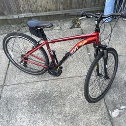 Schwinn Dual Sport