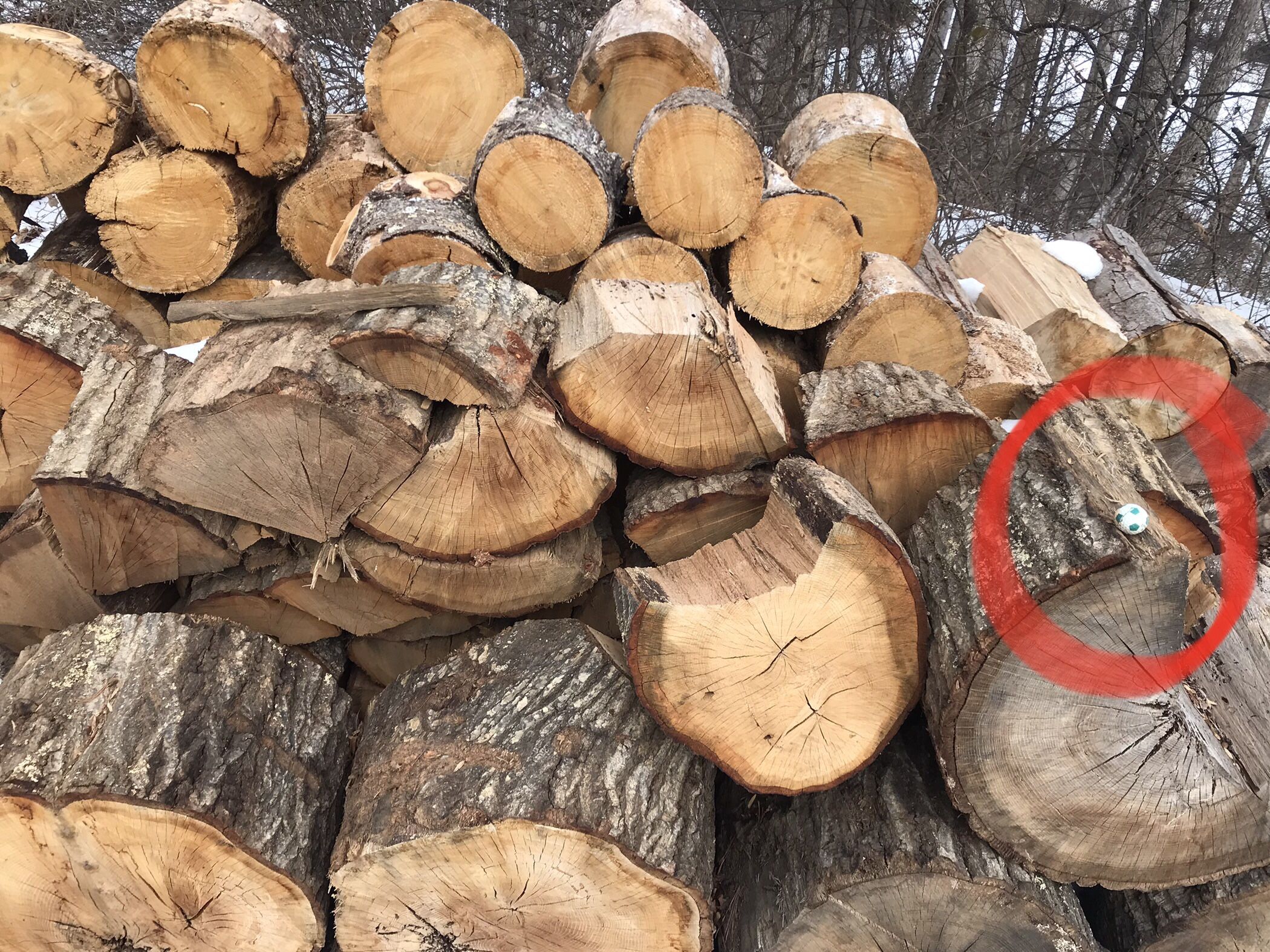 Firewood for sale