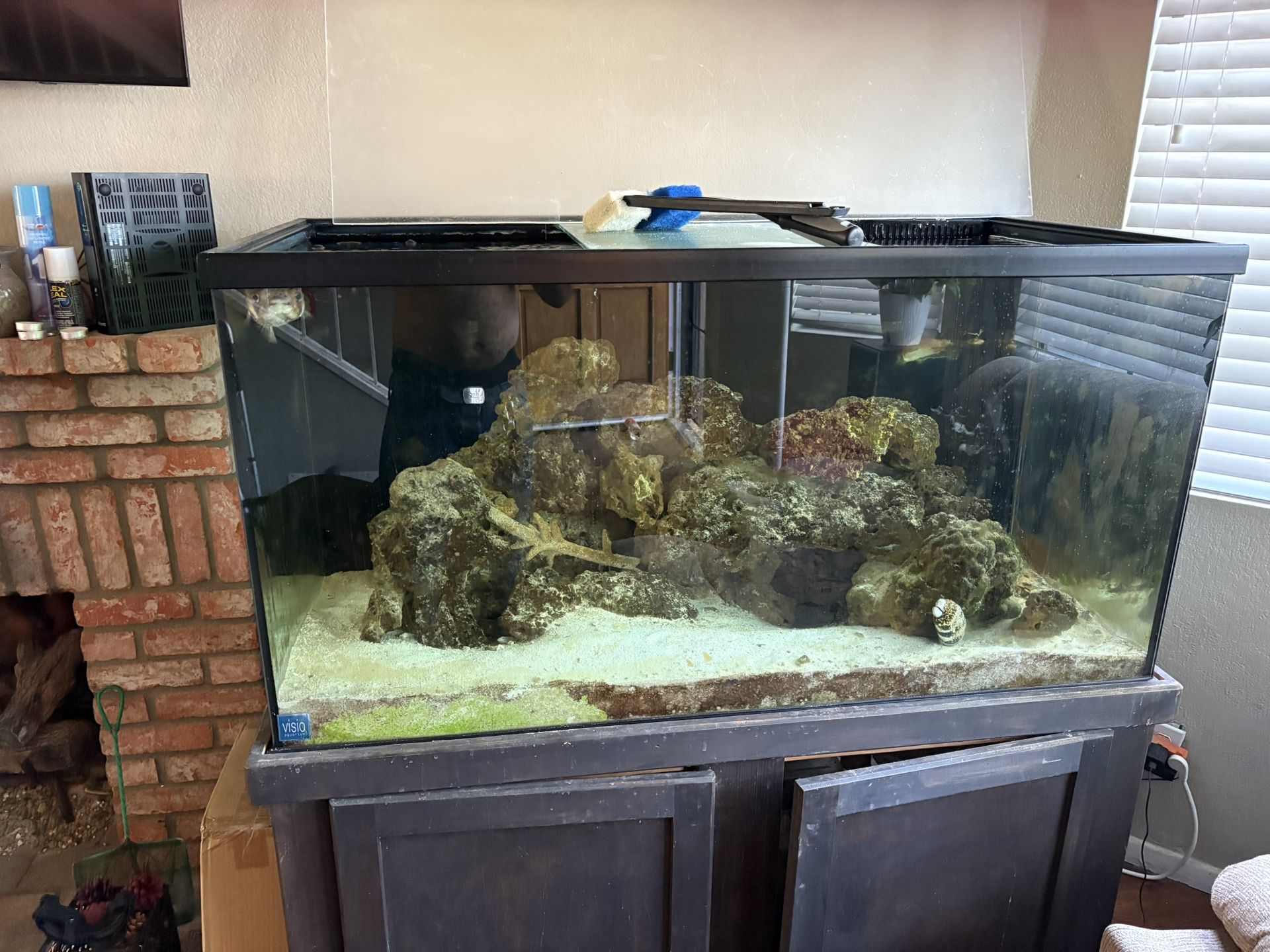 Fish Tanks For Sale