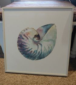 Seashell Canvas Pic