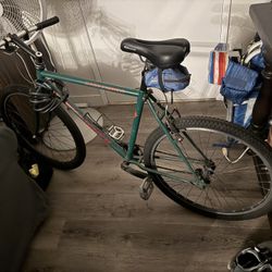 Gary Fisher Single Speed Bike