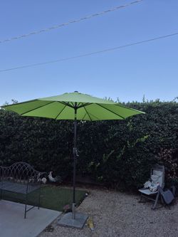9" FT Market Umbrella Patio Color: Green Base Not Included 