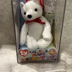 Color Me Beanie Baby Birthday Kit