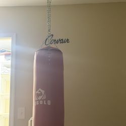 Punching Bag 
