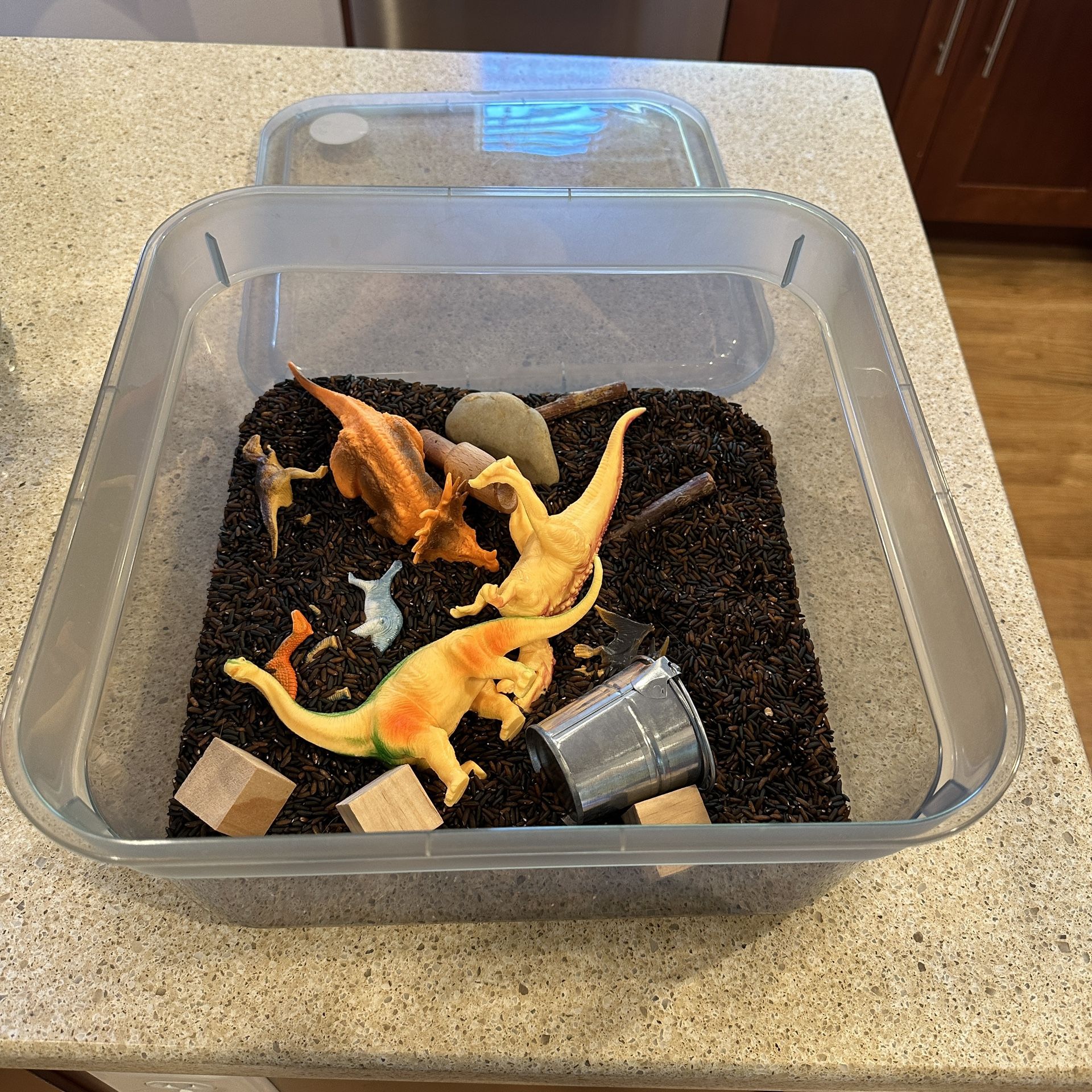 Sensory Bin Rice Dinosaur Toys Educational Infant Toddler