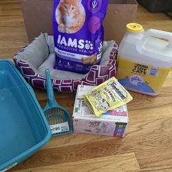 Kitten Items