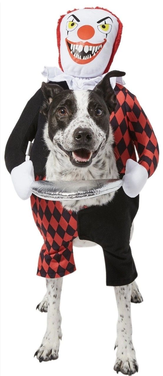Large Killer Clown Costume For Dog