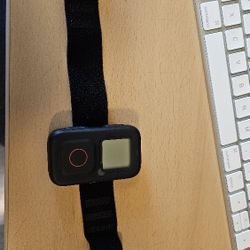 GoPro The Remote