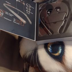 Audifonos Nuevos