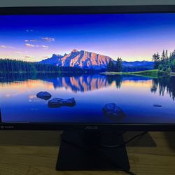 Computer Gaming Monitor