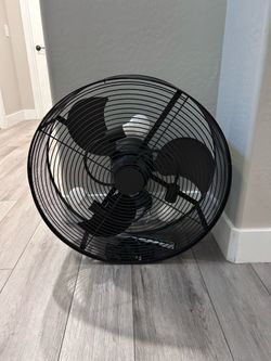 Ceiling fan with lights
