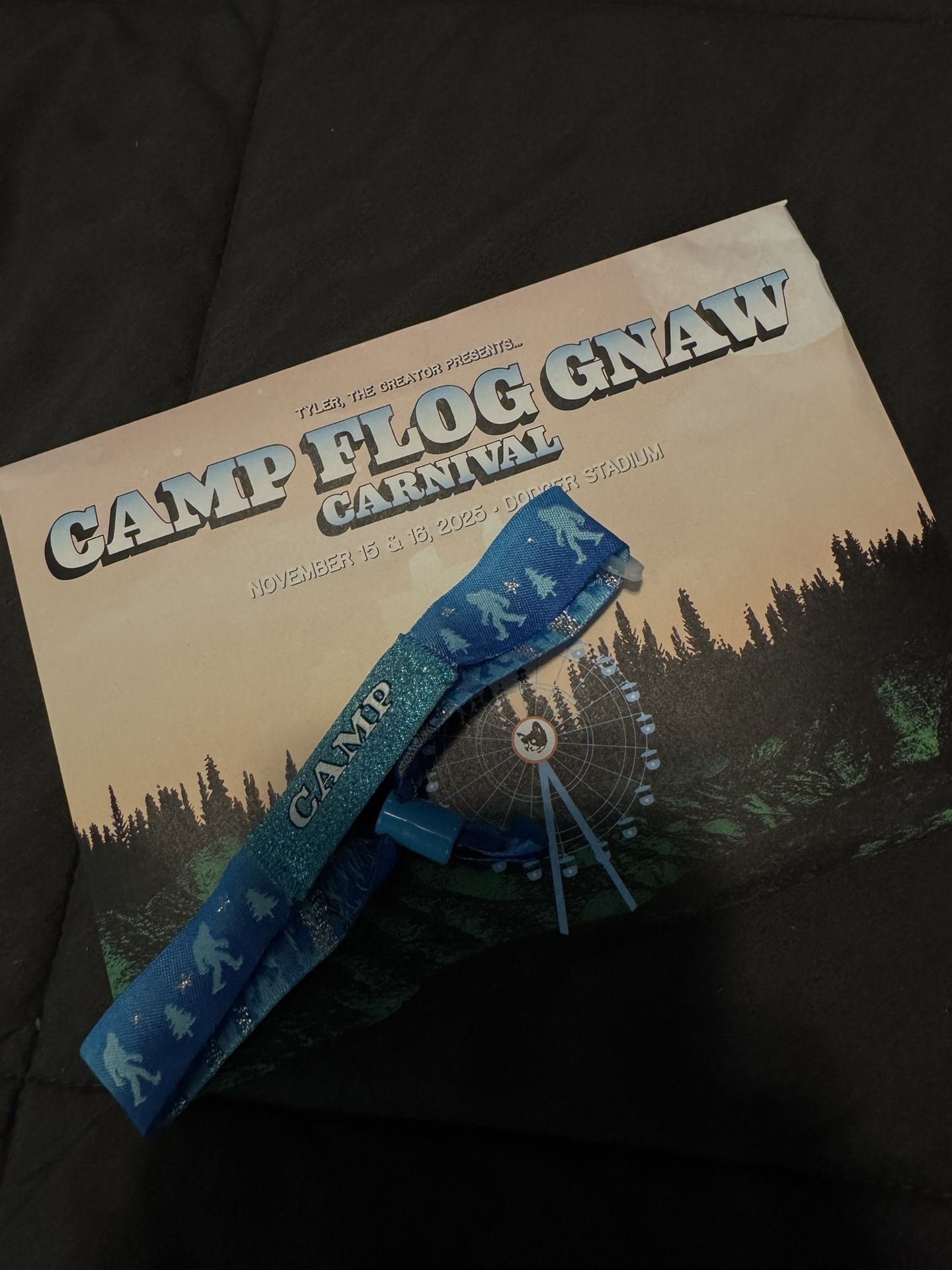 Camp Flog Gnaw 2025 GA wristband