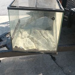 Pet Glass Cage
