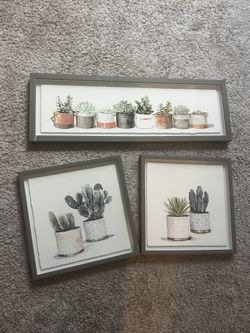Set Of 3 Framed Southwestern Botanical Prints