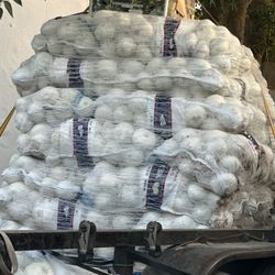 50Lb Onion