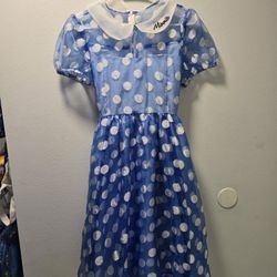 Handmade Minnie Mouse Womans Costume Dress