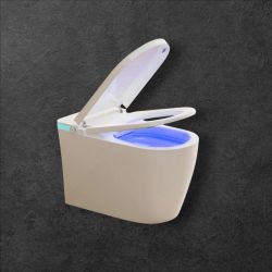 Japanese Smart Toilet 